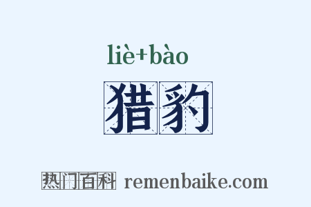 猎豹是什么意思的图片